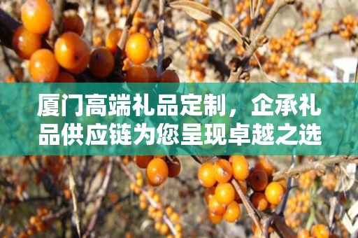 厦门高端礼品定制，企承礼品供应链为您呈现卓越之选