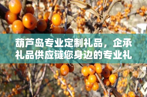 葫芦岛专业定制礼品，企承礼品供应链您身边的专业礼品定制公司